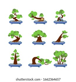 Vector Flat Bonsai Styles Set. Green bonsai trees icons on white background.