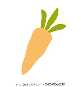 Zanahoria plana vectorial aislada sobre fondo blanco. Verdura anaranjada de caricatura, Ilustración de Jardín de primavera. Elemento de diseño de alimentación fresca y madura y saludable. Dibujo gráfico a mano para folleto, tarjeta.
