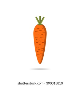 vector flat carrot isolated on white background