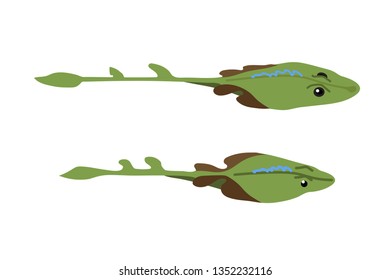 vector flat cartoon animal clip art zapteryx stingray