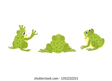 caricatura plana vectorial clip animal rana verde, toads