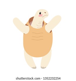 vector flat cartoon animal clip art tortoise, turtle