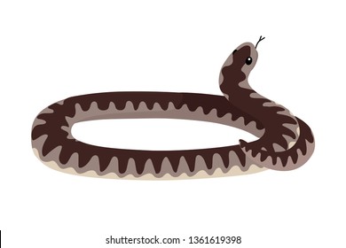 vector flat cartoon animal clip art coiled viper snake