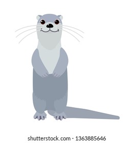 vector flat cartoon animal clip art river common otter