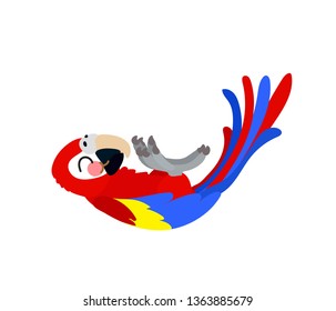 vector flat cartoon animal clip art ara parrot, macaw