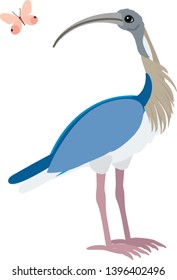 vector flat cartoon animal clip art ibis bird