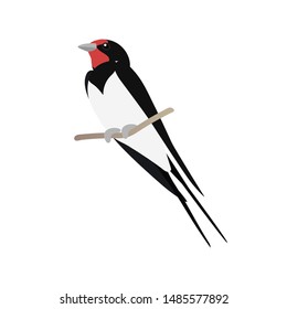 vector flat cartoon animal clip art