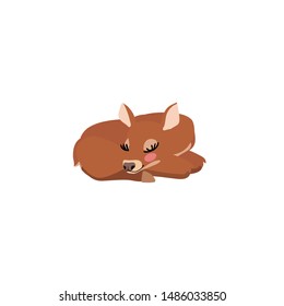 vector flat cartoon animal clip art