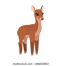 vector flat cartoon animal clip art