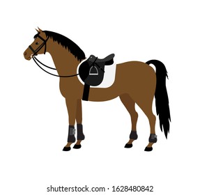 horse bridle and saddle