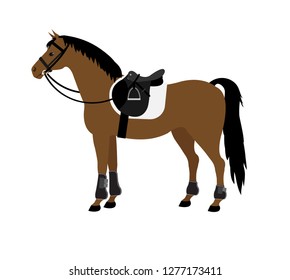 Vector flat cartoon brown bay horse with saddle boots and bridle equipped standing isolated on white 