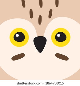 Vector flat cartoon doodle owl face isolated on brown background