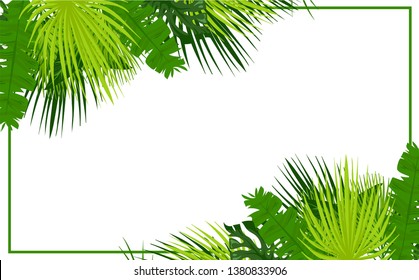 Vector flat cartoon frame with many leaves of jungle, vector illustration isolated on white background