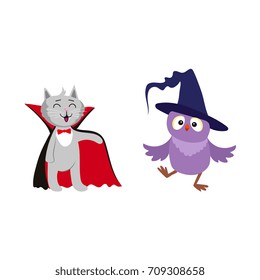 vector flat cartoon funny cat dressed up like vampire count Dracula, owl in witch pointed hat set. Isolated illustration on a white background. Fancy Halloween outfit for an animal concept