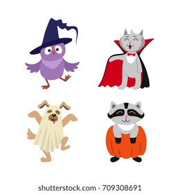 vector flat cartoon funny halloween animals - cat dressed up like vampire count Dracula, owl in witch hat , caroon in pumpkin and dog ghost in bedsheet set. Isolated illustration on a white background