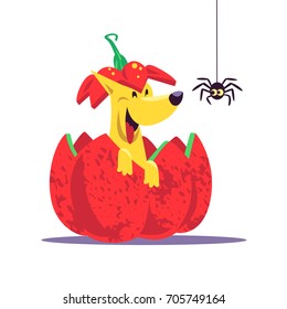 Vector flat cartoon illustration with Halloween dog character sitting in red pumpkin laughing with little spider. Good for celebration card, party invitation, sticker, flayer design.