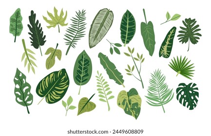 Vector flat cartoon illustration set of tropical leaves isolated on white background. Highly detailed colorful plant collection. Botanical elements for cosmetics, spa, beauty care products , fashion ,