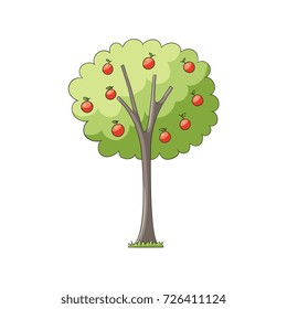 vector flat cartoon red apples on apple tree with green foliage and plentiful fruitage. Isolated illustration on a white background. Popular garden plant for your design
