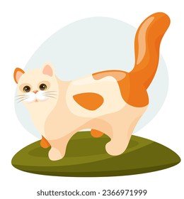 Vector flat cartoon red kawaii kitten. The cat stands at full height in a green clearing. For a pet store, grooming services, cat salon. Banner, postcard, poster