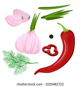 Vector flat cartoon sketch of hand drawn spices, seasonings, flavors and a set of kitchen herbs. Red chili and black pepper, garlic. Isolated illustration on white background.