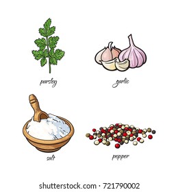 vector flat cartoon sketch hand drawn Spices, seasoning, flavorings and kitchen herbs set. Parsley leaves with stem, black pepper, garlic and white salt. Isolated illustration on a white background