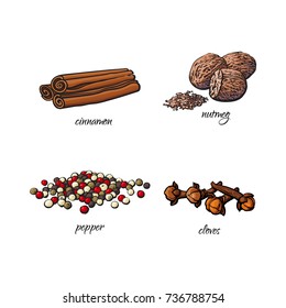 vector flat cartoon sketch hand drawn Spices, seasoning, flavorings and kitchen herbs set. Dry cinnamon, canella sticks, cloves black pepper and nutmeg. Isolated illustration on a white background