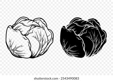 Vector Flat Cartoon Style Black and White Cabbage Set. Detailed Cabbage Head Illustration in Line Art and Solid Silhouette Styles. Monochrome Vegetable Icons. Black and White Cabbage Illustrations