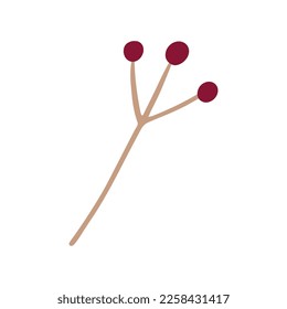 Vector flat cartoon style holly tree, berries on branch . Isolated illustration. Christmas cards, banners of presentation decoration design symbol. Vector illustration