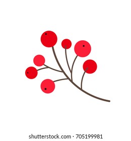 vector flat cartoon style holly tree, mistletoe or ilex berries on branch . Isolated illustration on a white background. Christmas cards, banners of presentation decoration design symbol