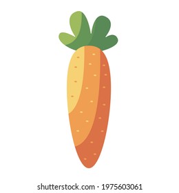 Vector flat cartoon vegetable, fresh carrot.