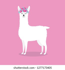 Vector flat cartoon white llama with flowers standing isolated on pink background 