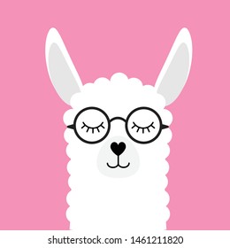 Vector flat cartoon white llama alpaca in glasses isolated on pink background