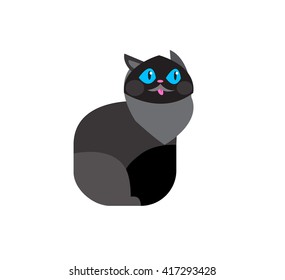 Vector flat cat. Vector detailed cat Isolated on white