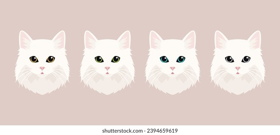 Vektor Flache Katzen Auge einer weißen Katze. Katzen Gesicht mit Augen, Nase, Whiskers Symbol Nahaufnahme. Katze in der Vorderansicht