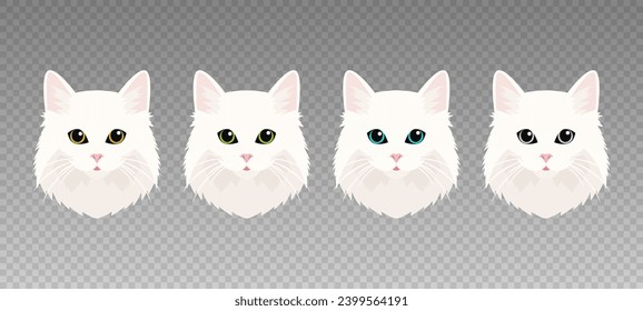 Vektor Flache Katzen Auge einer weißen Katze. Katzen Gesicht mit Augen, Nase, Whiskers Symbol Nahaufnahme. Katze in der Vorderansicht