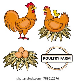 Vector flat chicken set. Brown rooster, cock, hen chicken, eggs in hay nest, yellow small chick sitting at chicken, poultry farm logo. Isolated illustration, white background. Organic food design