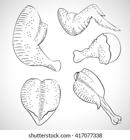 Vector flat. Chicken set. Ham, drumstick, wings, breast, skin