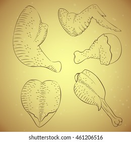 Vector flat. Chicken set. Ham, drumstick, wings, breast, skin