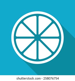 Vector flat citrus icon isolated on blue background. Eps10 