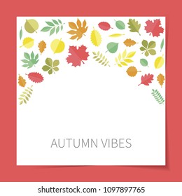 Vector flat colored autumn tree leaves icons (elm, beech, ash, linden, birch, alder, aspen, willow, maple, poplar, rowan, hawthorn, walnut, apple, oak, acacia, chestnut, conker)  on white background