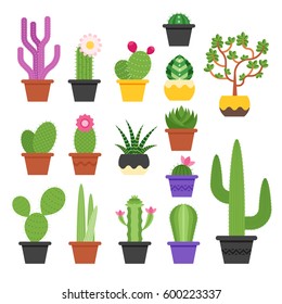 Vector flat colorful set of various cactus in pots. Icon for web. Isolated on white background.