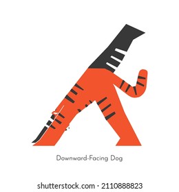 Vector flat concept with animal character doing yoga. Chinese tiger learns relaxing forward bend exercise - Downward-Facing Dog with raised leg. Basic sports balancing posture for beginners