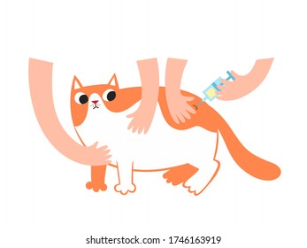 Vector flat concept illustration with hands of owner frightened cat and hands of veterinarian giving injection to pet isolated on white