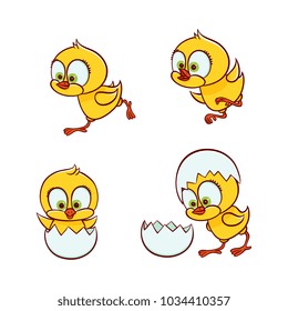 vector flat cute baby chicken small funny chick hatching from egg, learning to fly, running set. Flat bird animal, isolated illustration on a white background, poultry, farm kids design object.