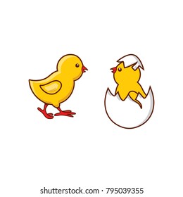 vector flat cute baby chicken, yellow small chick hatching from egg set. Flat bird animal, isolated illustration on a white background, poultry, farm organic food products advertising design object.