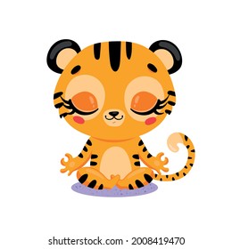 Vector flat cute cartoon doodle tiger meditation. Tropical jungle safari animals meditate. Animals yoga