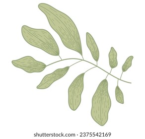 Vector flat decorative twig with green leaves, isolated plant branch in sketch style.