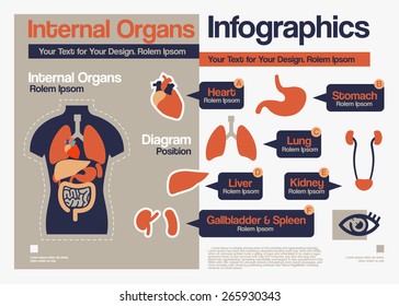 Vector Flat Design about Internal Organs Infographics.