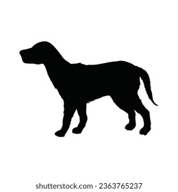 Vector flat design animals silhouette on white.