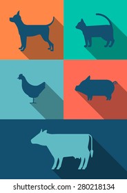 Vector Flat design. Dog, cat, pig, chicken, cow, bull